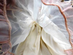 celluloid ten half doll white f